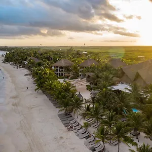 Lirios **** Tulum