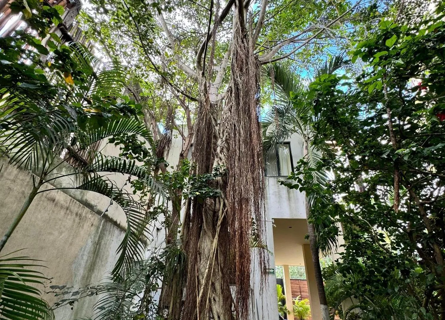 Starfit Hotel Boutique Beachclub, Spa & Gym Included Tulum 4*,